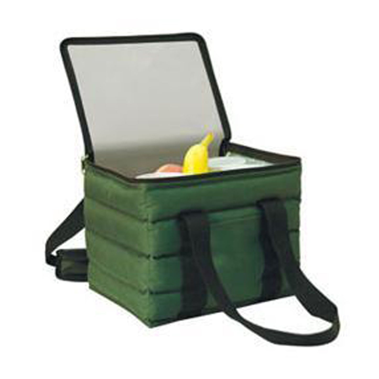 Carrying Case - Tribest Blender green