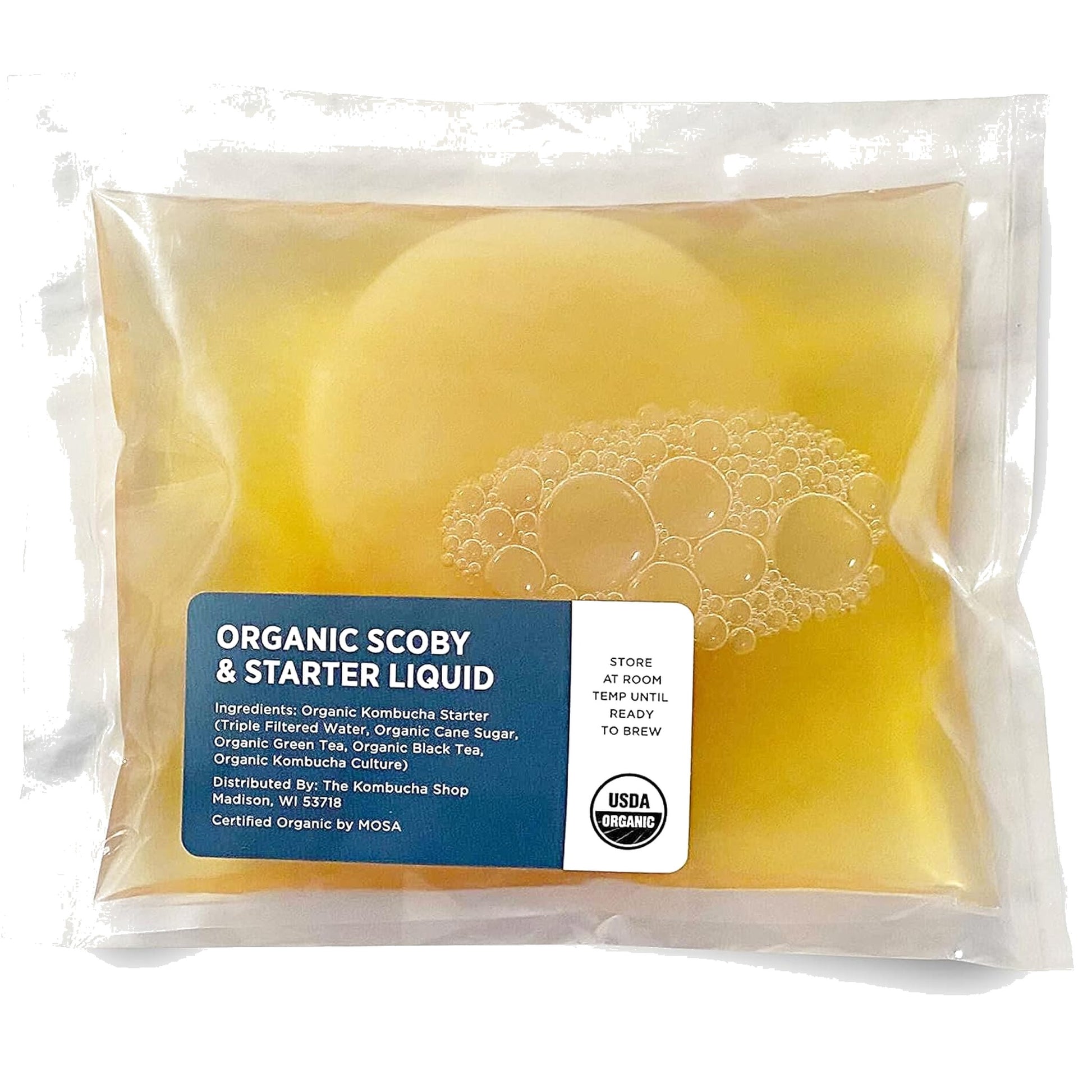 Kombucha Starter Culture -Cultures for Health (Single SCOBY)