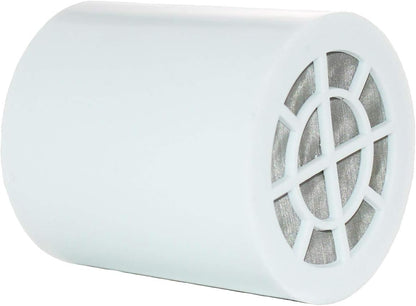 Shower ReplacementFilter