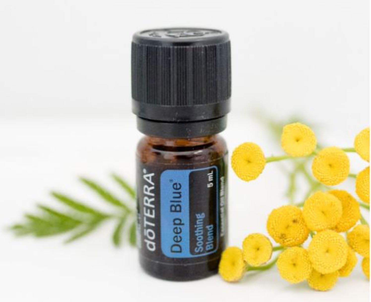 Deep Blue 5ml Essential Oil