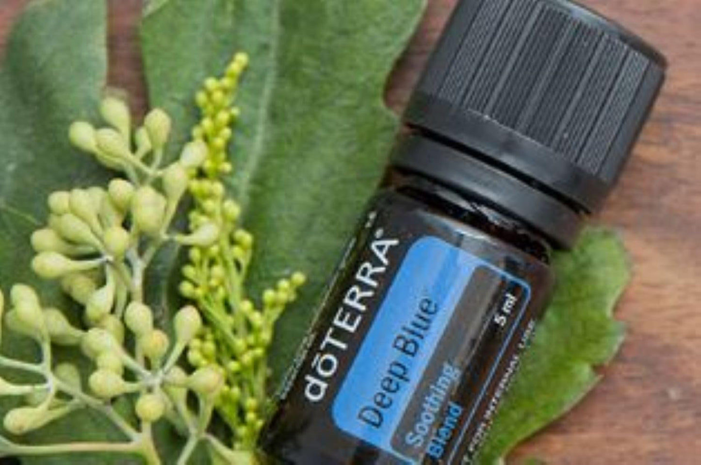 Deep Blue 5ml Essential Oil