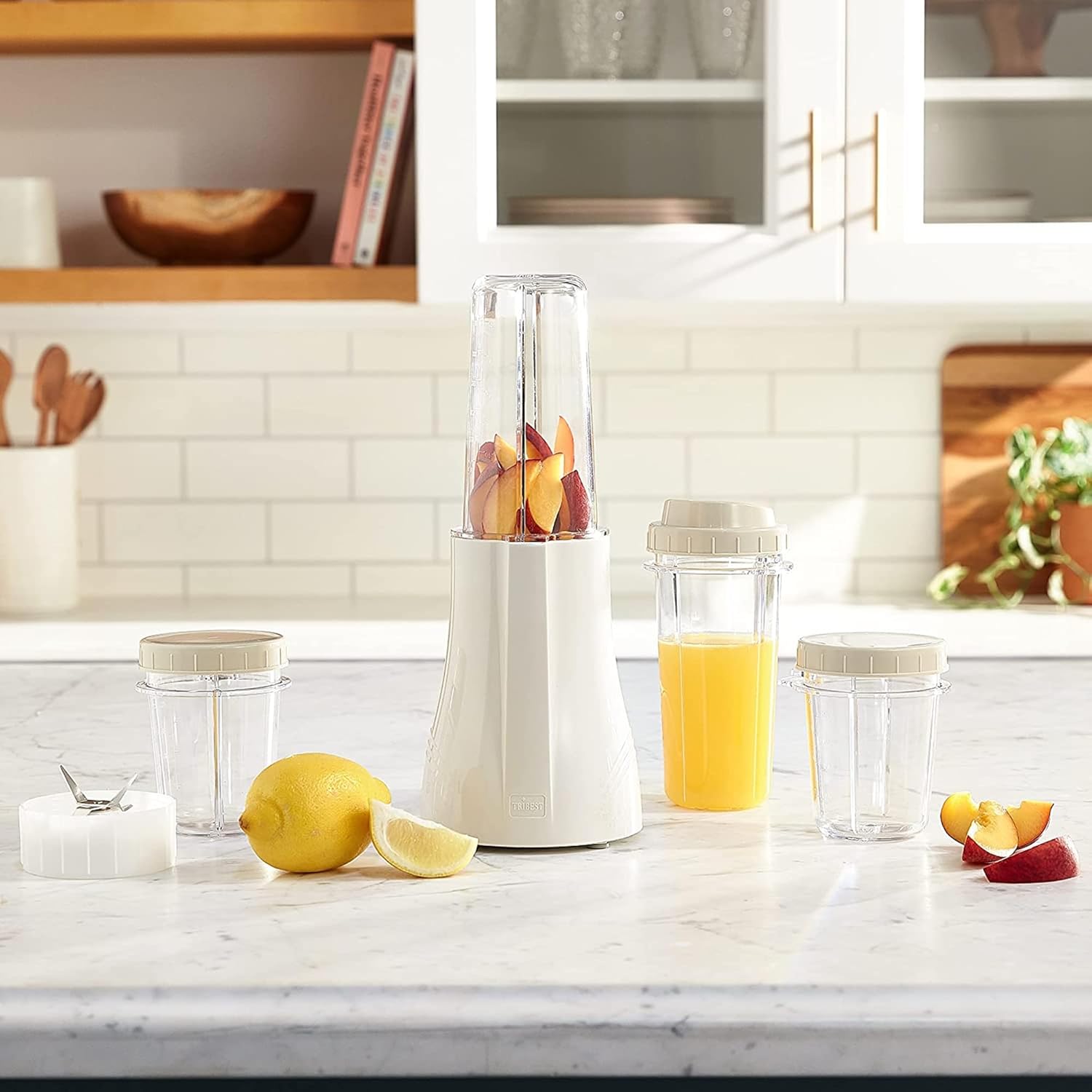 Tribest Personal Blender PB-250 w/FREE Shipping