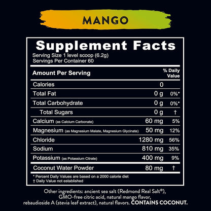 MANGO Re-Lyte Electrolyte Mix - 13.76 oz tub - 60 Servings