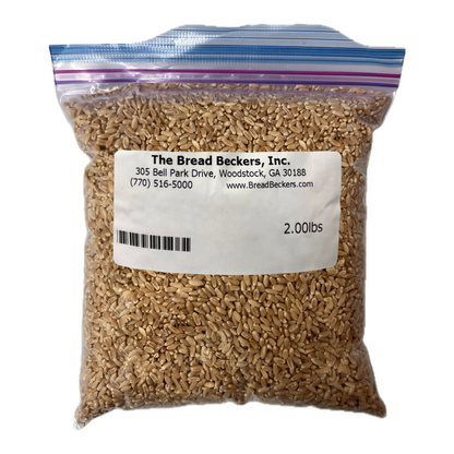 Ezekiel Mix