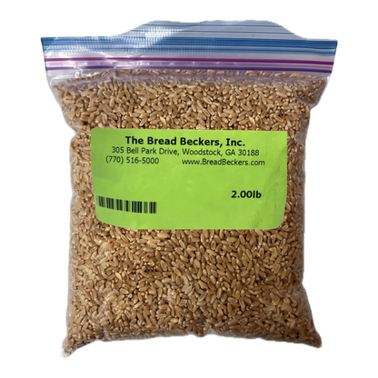 Ezekiel Mix