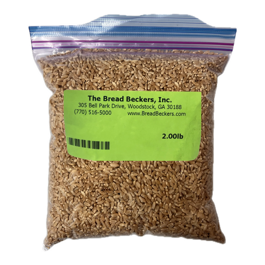 Wheat Einkorn ORGANIC in 2 lb. Baggie