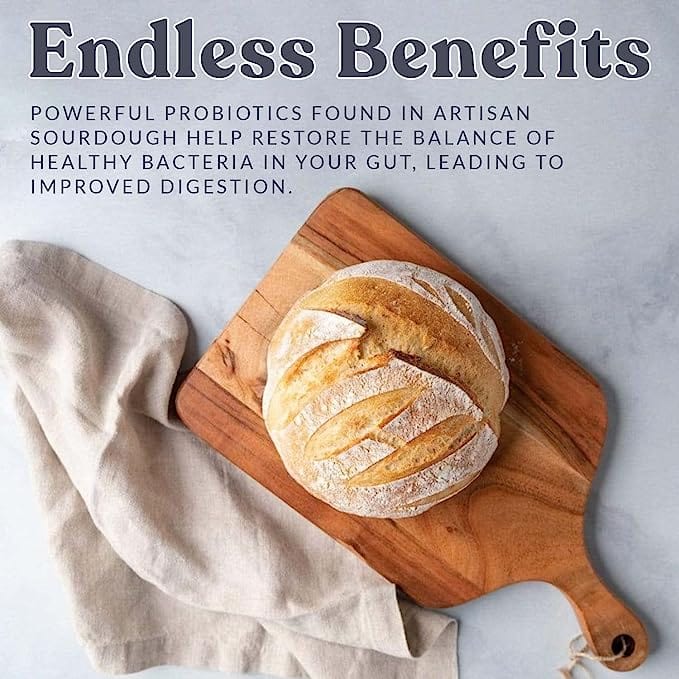 Whole Wheat Sourdough Starter (Single Packet)